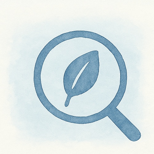 Lupe Analyse Icon